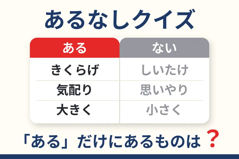 株式会社パステムセゾンの求人・転職情報