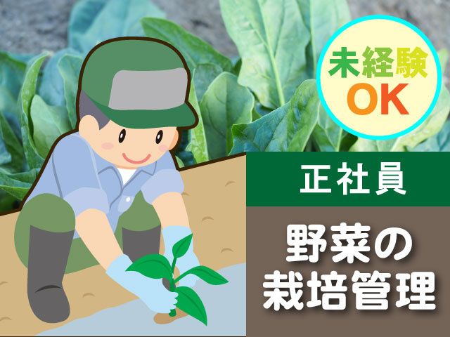 有限会社　高橋農園の求人・転職情報