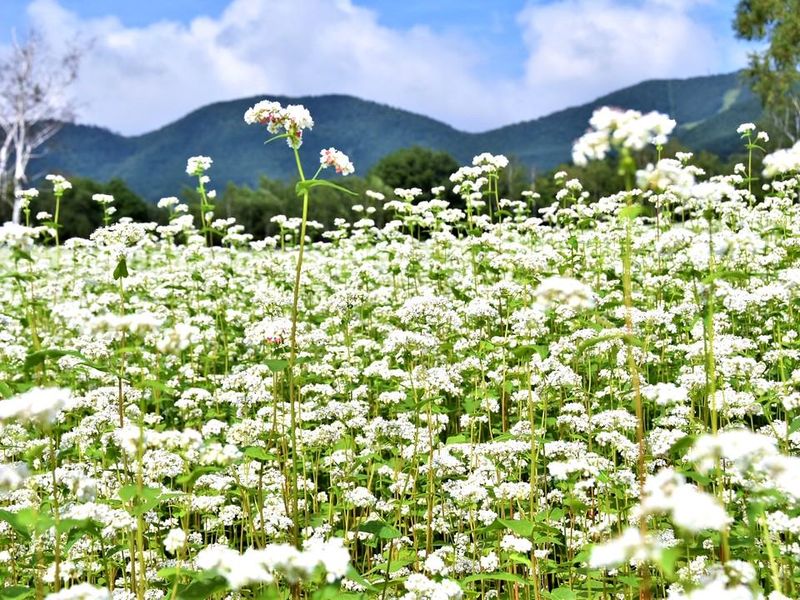 株式会社赤城深山ファームのアルバイト・バイト求人情報-02