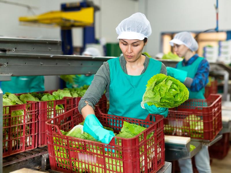 株式会社ヒト・コミュニケーションズの求人・転職情報-02