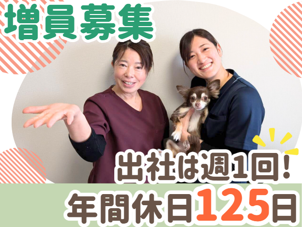 株式会社サンブルームの求人・転職情報