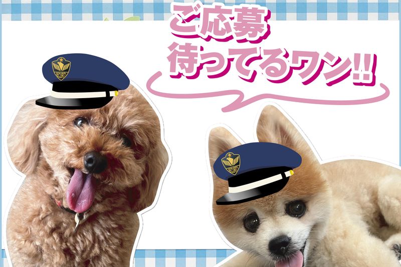株式会社名岐サービスのアルバイト・バイト求人情報-02