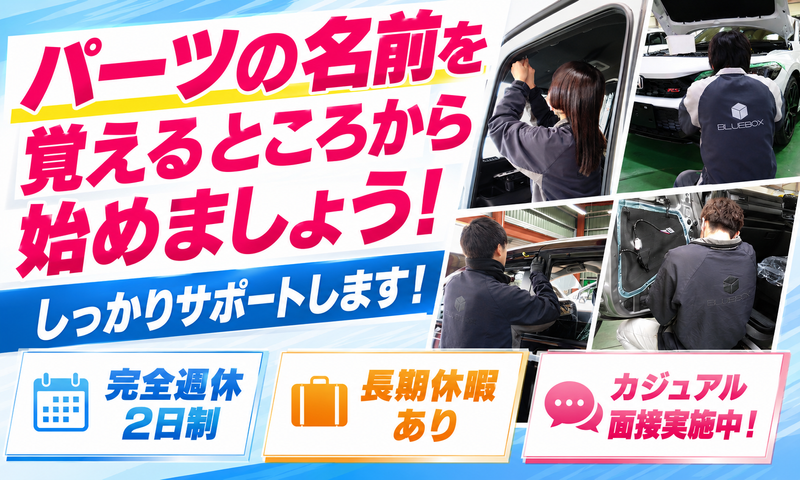 株式会社ブルーボックスの求人・転職情報