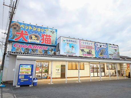 Coo&RIKU(クーアンドリク)　春日部店のアルバイト・バイト求人情報-03