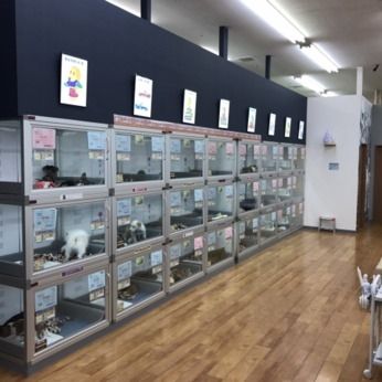 株式会社Coo&RIKU東日本の求人・転職情報