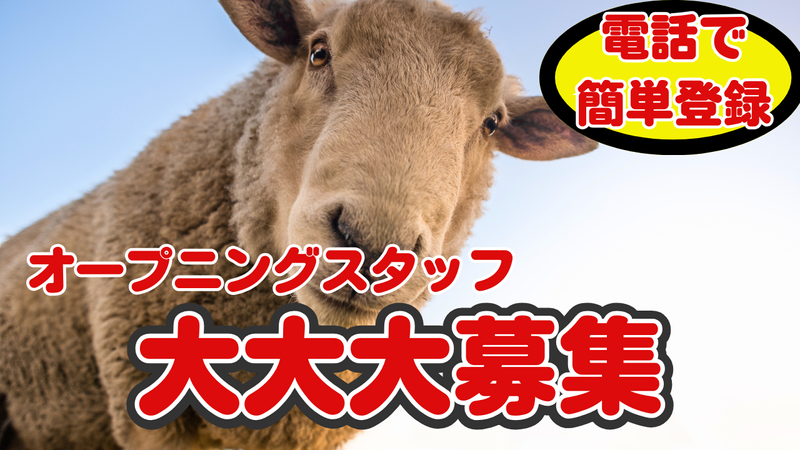 株式会社スタッフバンクのアルバイト・バイト求人情報-03