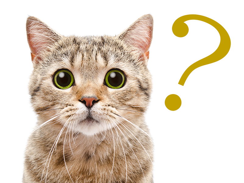 アドプランナー株式会社