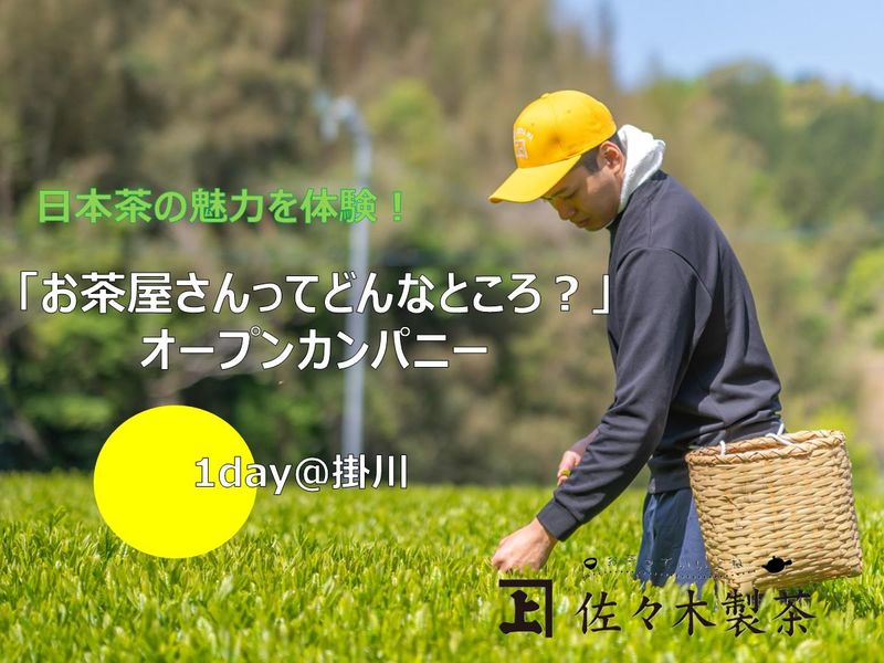 【1DAY掛川】お茶屋さんってどんなとこ?オープンカンパニー