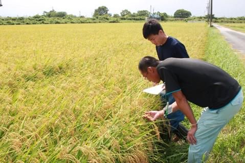 みえなか農業協同組合