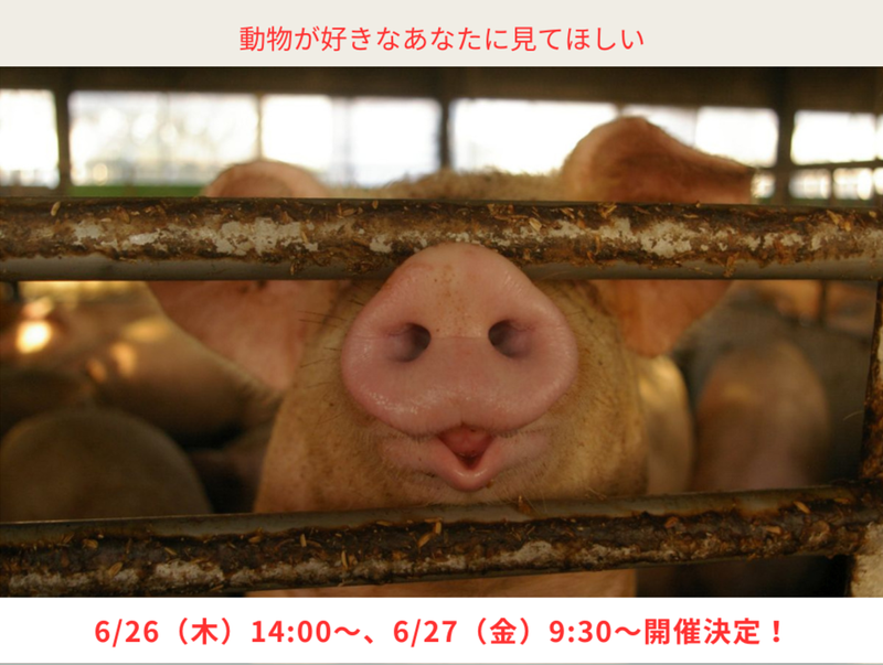 有限会社環境テクシス