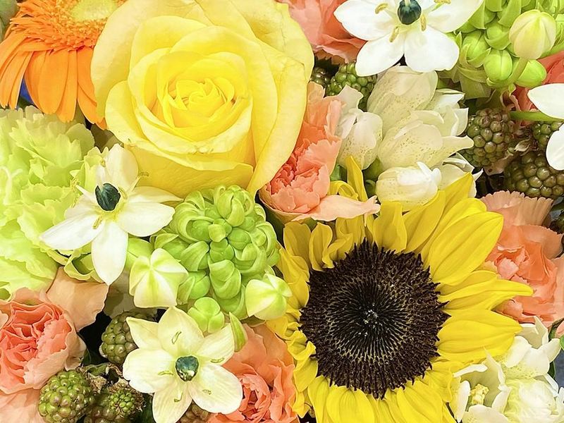 株式会社花工場岡山の派遣求人情報