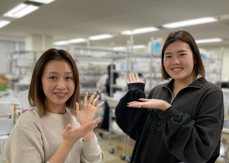 株式会社スマートウェブのアルバイト・バイト求人情報-02