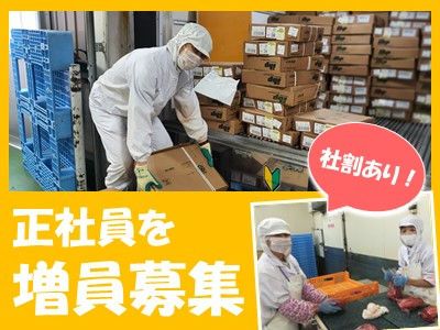 株式会社ビギンの求人・転職情報