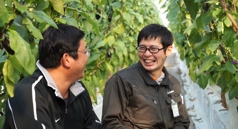 高知県農業協同組合