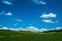 株式会社ドリームキャッチャーのアルバイト・バイト求人情報-03