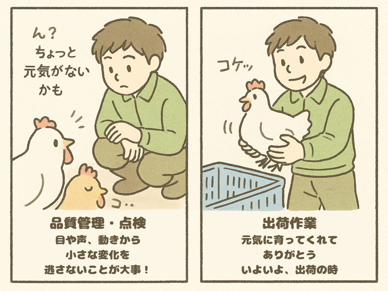 丸トポートリー食品株式会社 東上農場のアルバイト・バイト求人情報-03