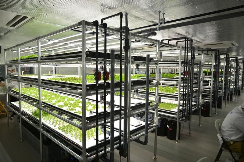 株式会社開盛の求人・転職情報