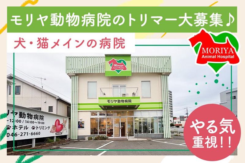 モリヤ動物病院の求人・転職情報