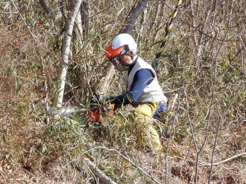 ワタナベ電建株式会社の求人・転職情報