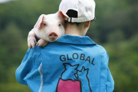 グローバルピッグファーム㈱本社のアルバイト・バイト求人情報-04