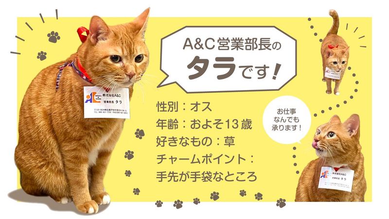 株式会社A&Cのアルバイト・バイト求人情報-01