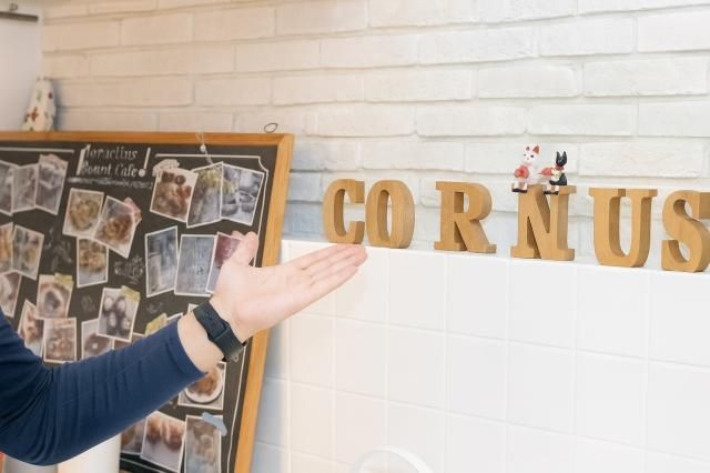 株式会社CORNUSの求人・転職情報