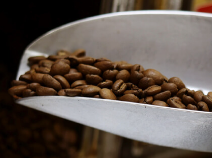 ワルツ株式会社の求人・転職情報