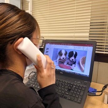 有限会社大浩商事-0008の求人・転職情報