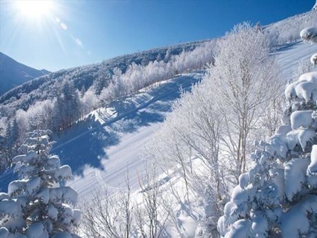 株式会社ヒューマニックのアルバイト・バイト求人情報-04