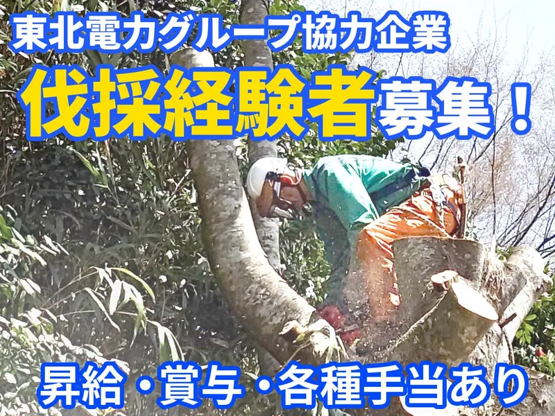 株式会社阿久津林産の求人・転職情報