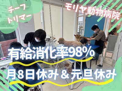有限会社パームマーケティングの求人・転職情報