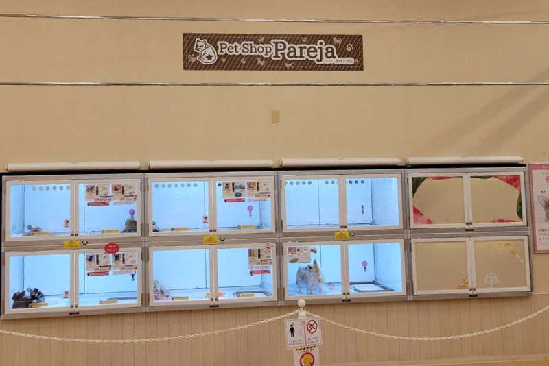 Pet Shop パレハ加西北条店のアルバイト・バイト求人情報-05