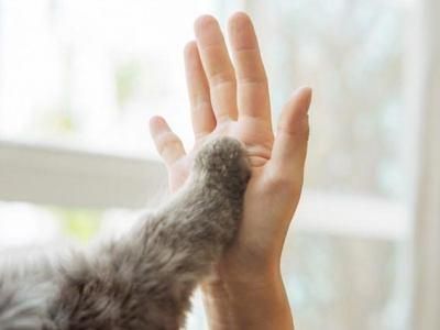 ドッグズホーム　大野城店のアルバイト・バイト求人情報-03