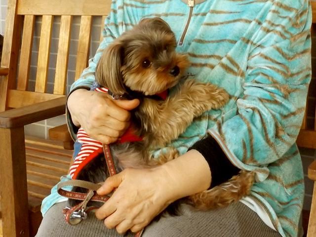 ウェルハイム八王子のアルバイト・バイト求人情報-03