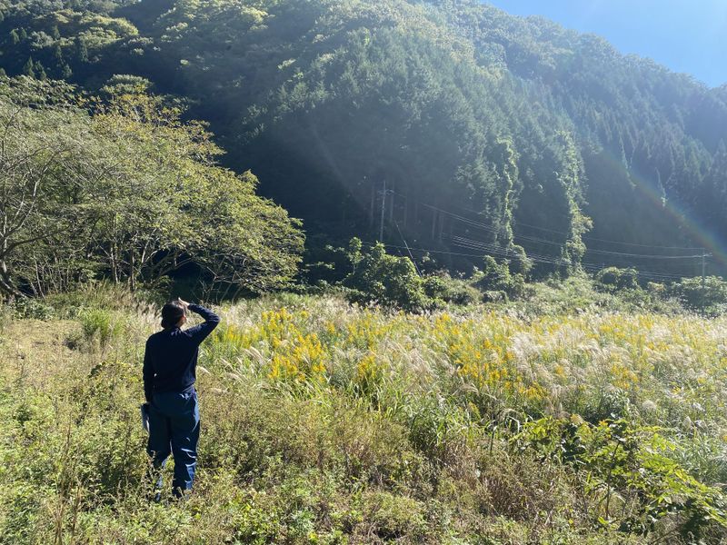 有限会社やまでん
