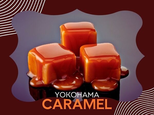 株式会社アクトプラスのアルバイト・バイト求人情報-23