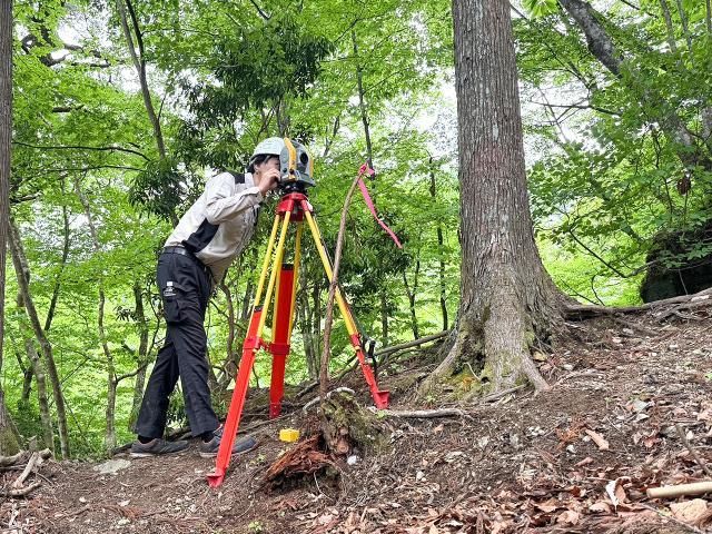 株式会社グラフィックの求人・転職情報