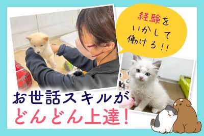 ラビータ　フジグラン北島店のアルバイト・バイト求人情報-02