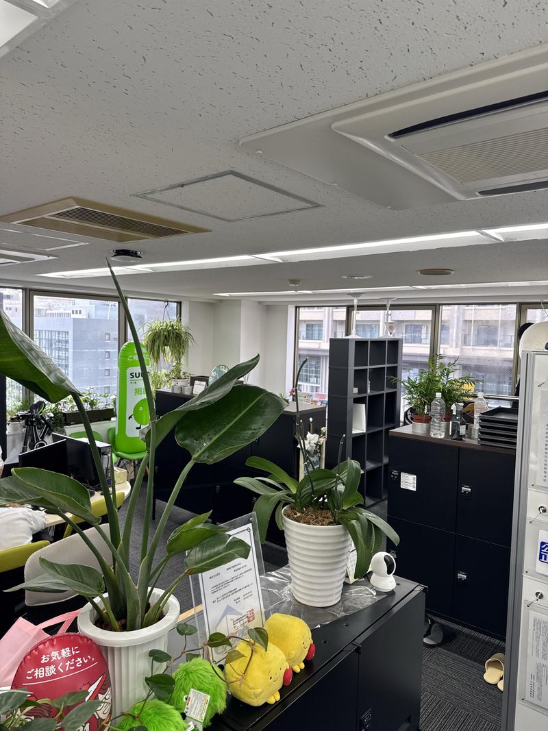 西片土地株式会社の派遣求人情報