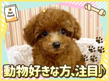 ペットワールドアミーゴ西条店のアルバイト・バイト求人情報-02