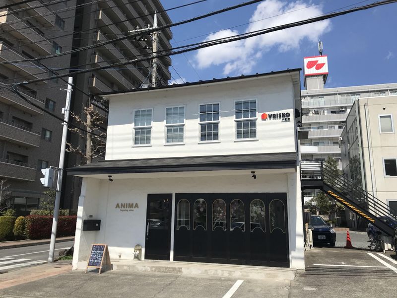 株式会社ブリスコの求人・転職情報