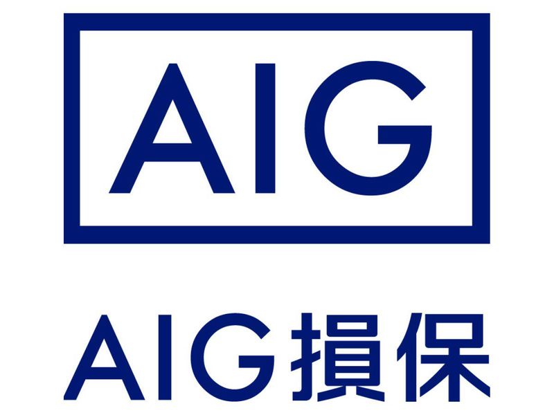 ＡＩＧ損害保険株式会社-0008の求人・転職情報