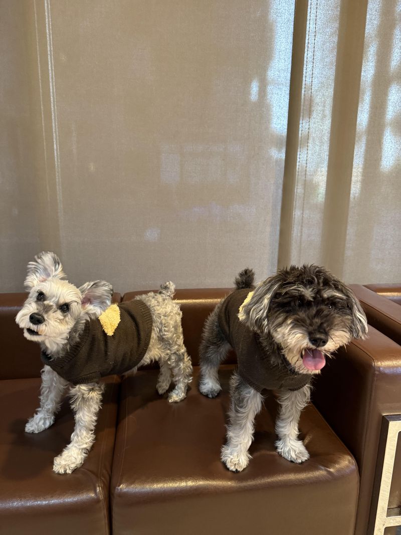 勝鬨興業株式会社-0002の求人・転職情報