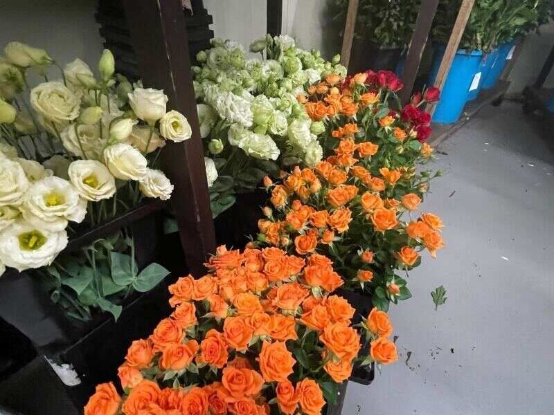 SOUセレモニー株式会社の求人・転職情報