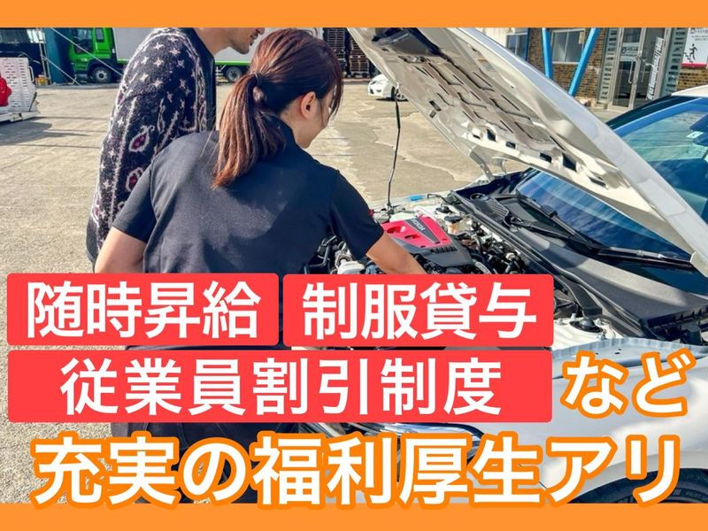 有限会社トラスト企画の求人・転職情報