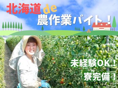 農業手伝い アルバイトの求人情報｜Indeed（インディード）