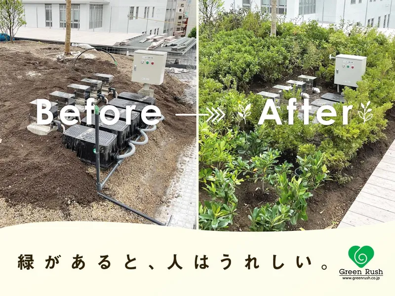 株式会社グリーンラッシュの求人・転職情報