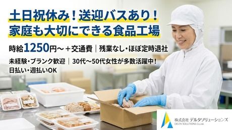 株式会社デルタソリューションズ