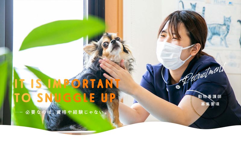 たねい動物病院の求人・転職情報