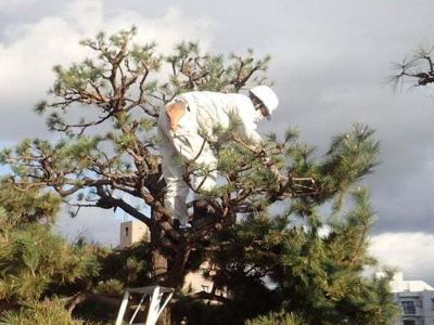 有限会社　植武の求人・転職情報